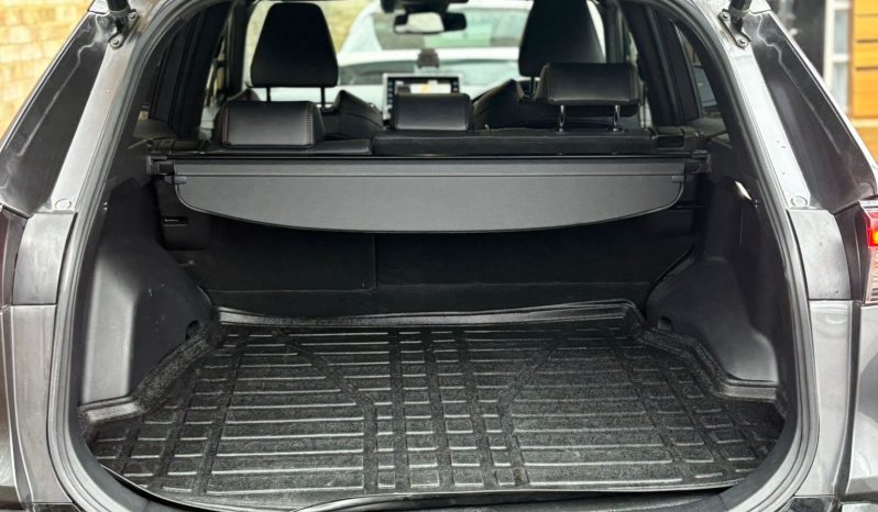 
								2022 Toyota RAV4 (PHEVs) full									